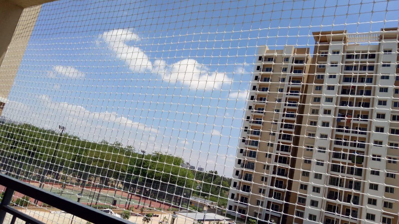 Anti-Pigeon Spikes in Chennai