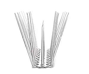 Bird Spike Installation Madurai