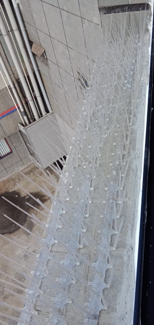 Balcony Pet Enclosure in Tirupur